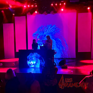 PHOTO CARRÉE GROUMPF PARTY 02